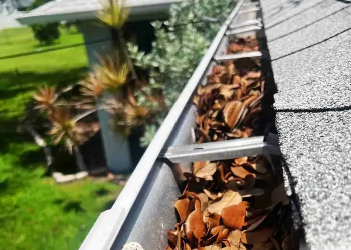 Rochester gutter cleaning home page